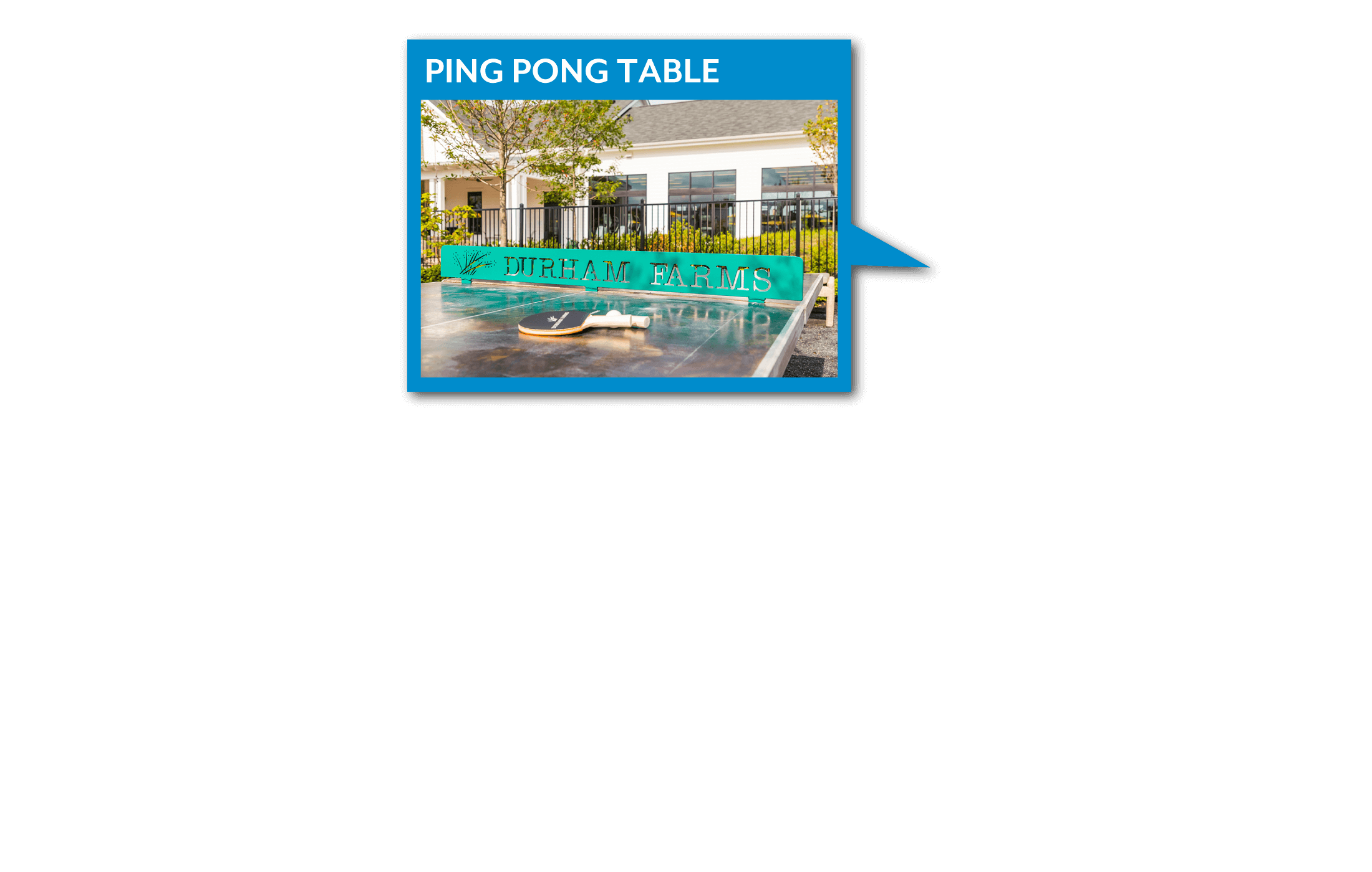 Ping Pong